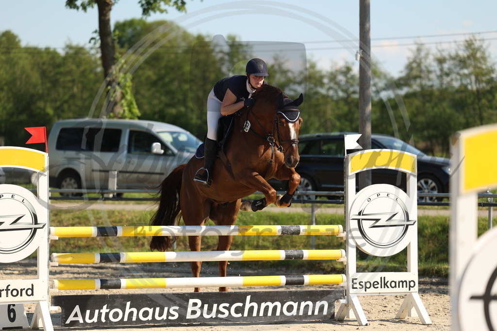 994A6179 | sabrinanicolaifotografie - Realisiert mit Pictrs.com