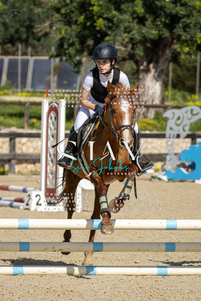 IMG_6060 | s-jay-photography - Realisiert mit Pictrs.com