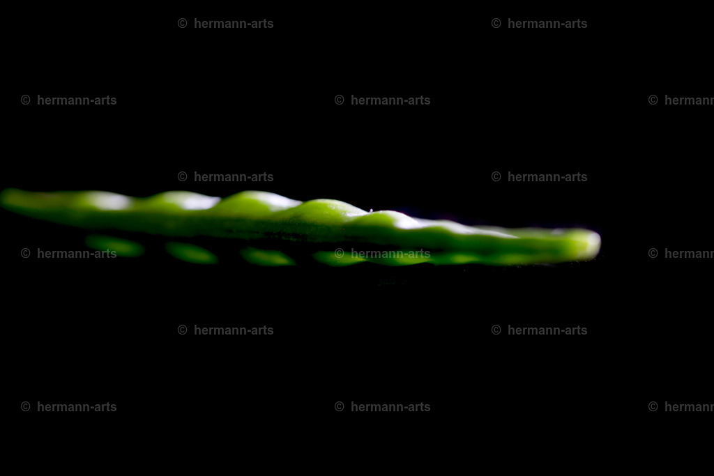 Fruits-Art-049 | Photo Foto Kunst Art schwarzweiss Bilder Rheine Münster Berlin Blumen 