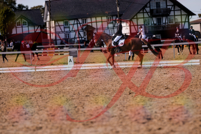 2026_10_03_Siefer-Hof_133143_Z81_86080749 | Professionelle Reitsport-, Turnier- und Eventfotografie von Robert Broda. Galerien mit ausgewählten und bearbeiteten Bildern direkt online ansehen und bestellen.
