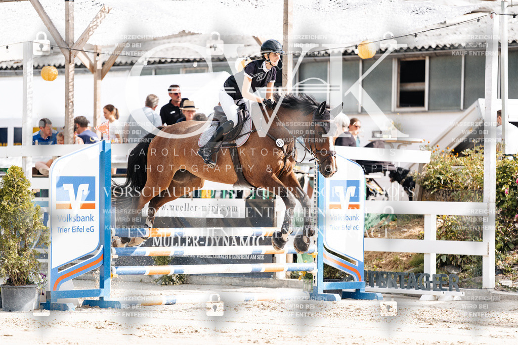 CK909065 | Turnierfotografie Pferdefotografie Trier Rheinland-Pfalz Pferdesport Reitsport Tierfotografie Sportfotografie Pferdevideo Pferdevideografie Equestrianvideography equestrianphotography  - Realisiert mit Pictrs.com