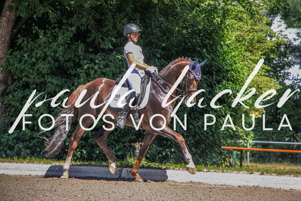 IMG_0444 | Erleben Sie dynamische Sport- und emotionale Tierfotografie in Süddeutschland mit Fotos von Paula. Spezialisiert auf Pferde- und Hundefotografie sowie Sportevents. Kontaktieren Sie mich für einzigartige und ausdrucksstarke Bilder Ihrer besonderen Momente. - Realisiert mit Pictrs.com