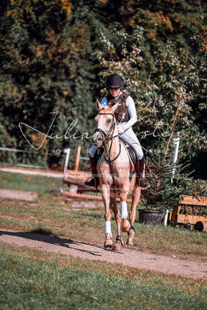 DSC_1135 | Pferde- und Turnierfotografie in Westsachsen. Pferdeportraits, Auftragszeichnungen und intuitive Kunst.
