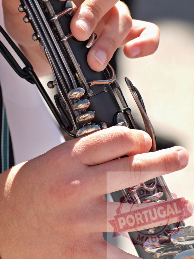 Musician playing clarinet during a concert | Close-up of hands playing clarinet during a concert - Realisiert mit Pictrs.com