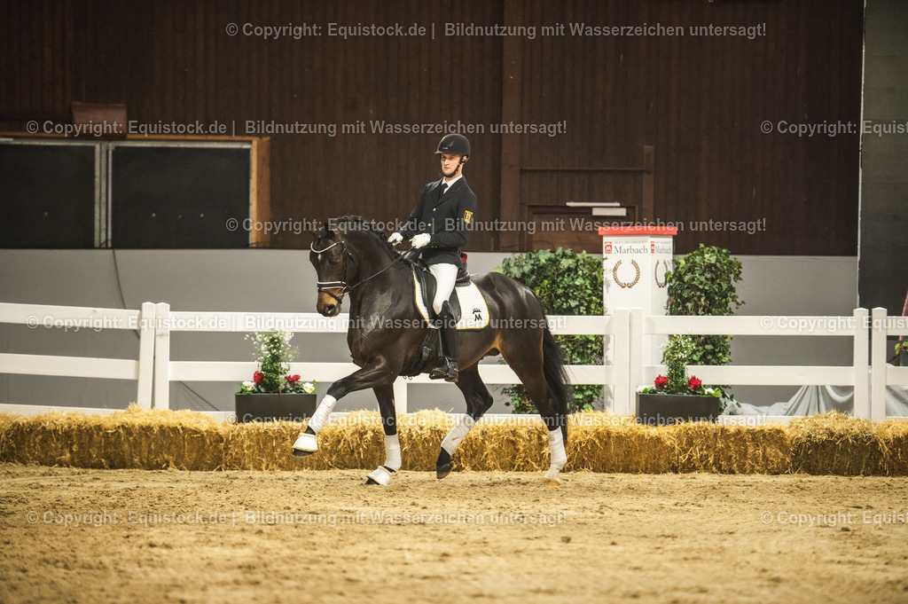 20240302_Hengstvorstellung_Marbach_TOMsPiC_0382 | equistock