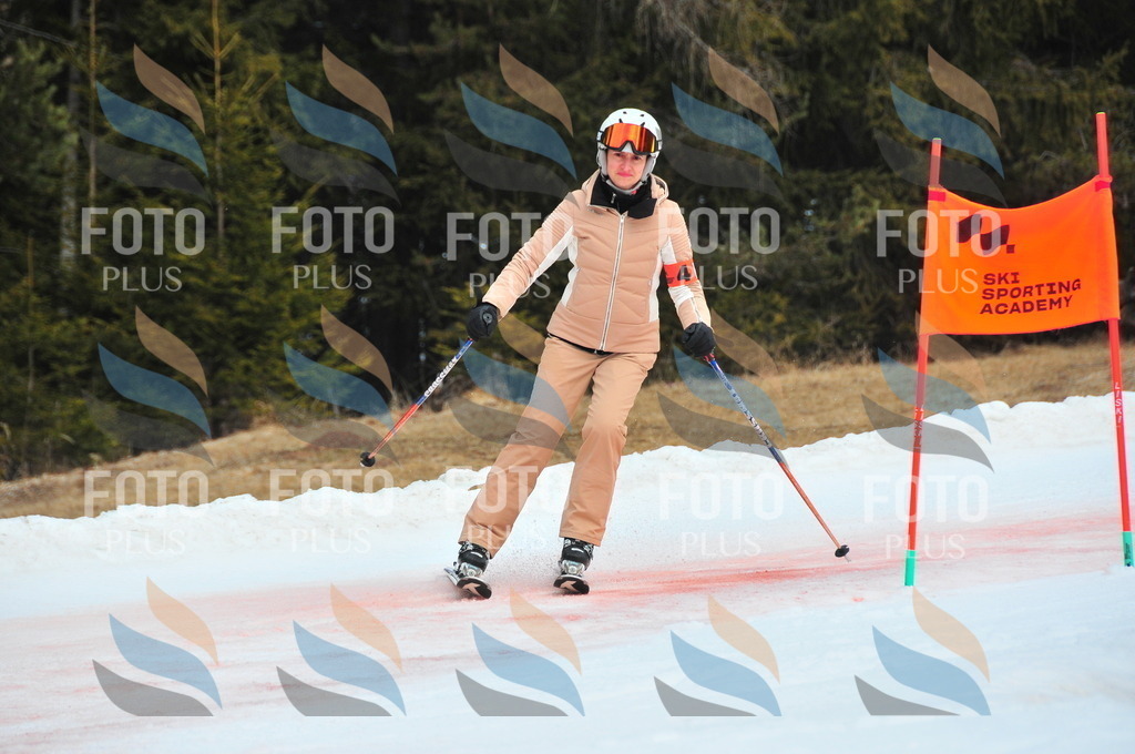 C0982 | holidayphoto