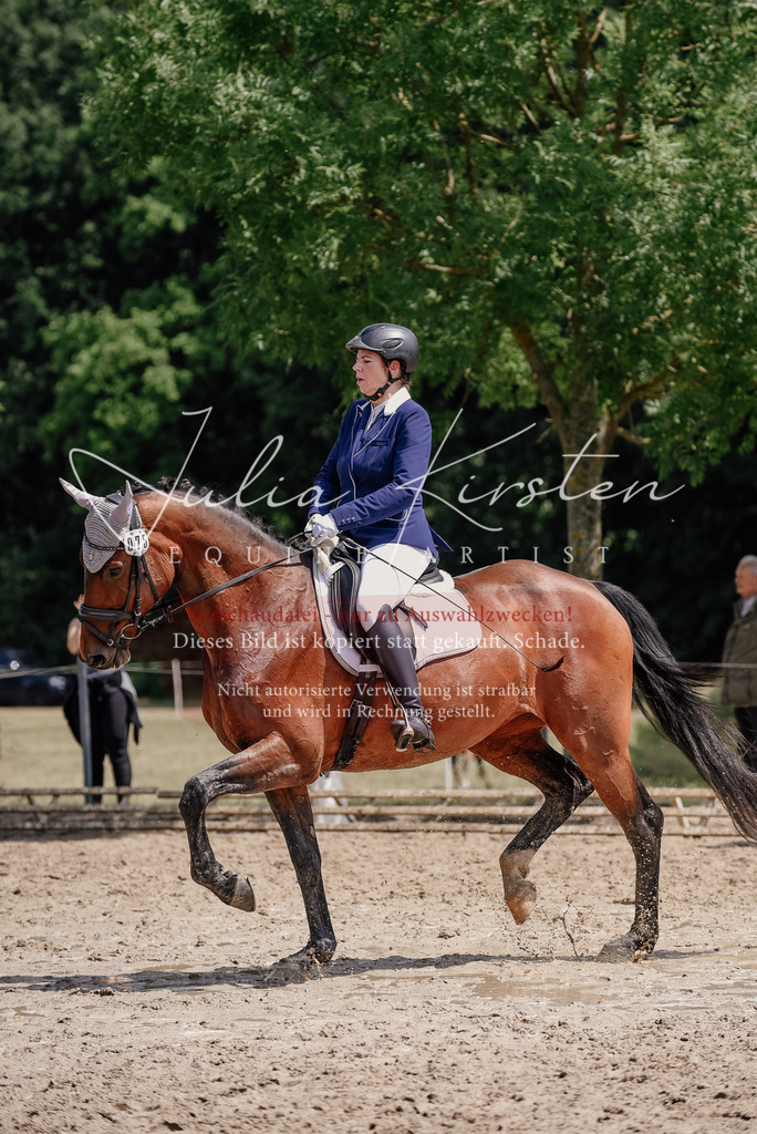 DSC_1244 | Pferde- und Turnierfotografie in Westsachsen. Pferdeportraits, Auftragszeichnungen und intuitive Kunst.