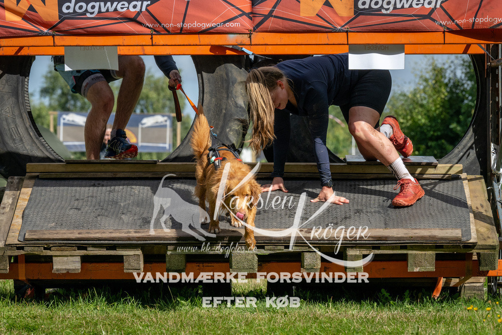 1110_ZZ92029 | kk-dogfotos