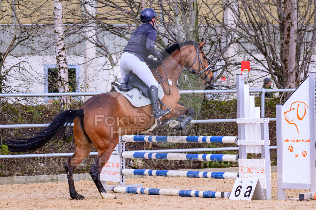 10042026-Mammendorf-Prfg16-0432 | Fokus Hufschlag Fotografie - Realisiert mit Pictrs.com