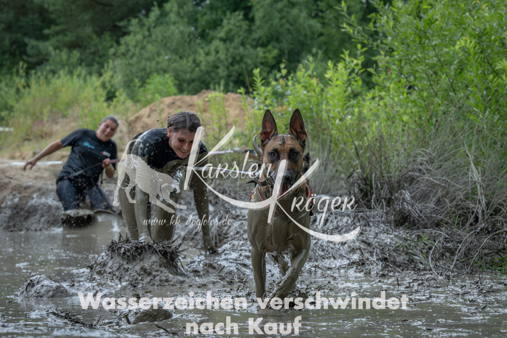 1408_ZZ91064-Verbessert-RR | kk-dogfotos