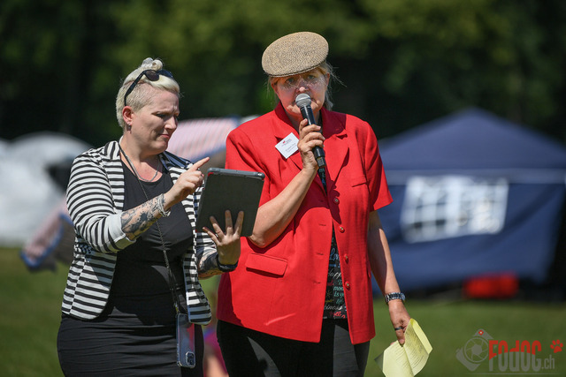 Dogshow CACIB Sonntag Ehrenring | Dogshow CACIB Sonntag in Aarau im Ehrenring. 25.06.2023 Foto: LeoWyden