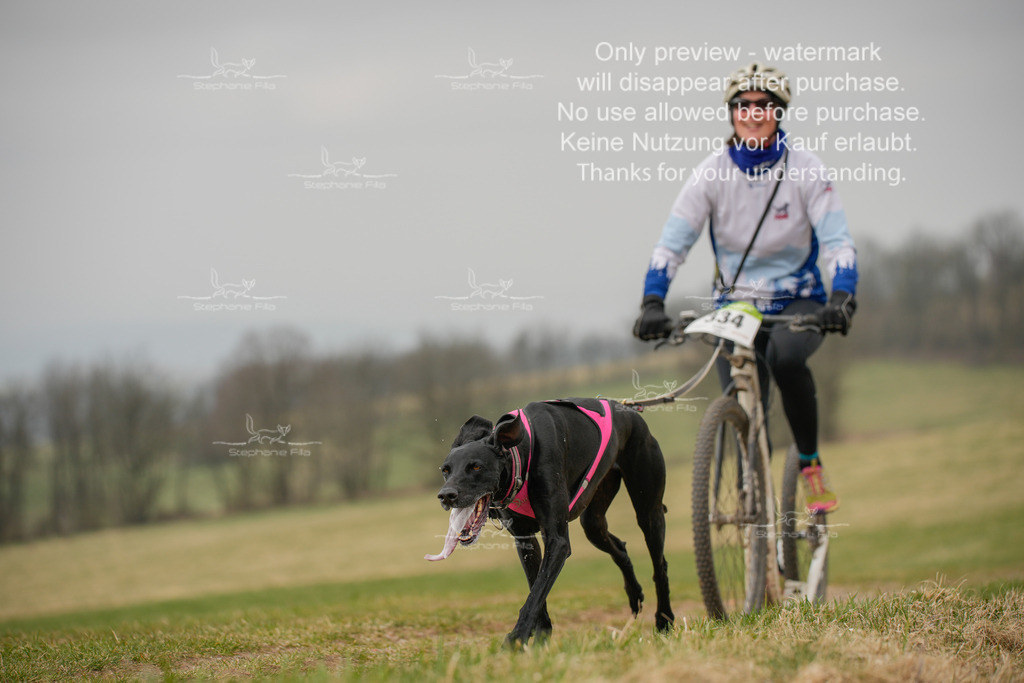 ScooterSA-182 | stephaniefillaphotographie - Realisiert mit Pictrs.com