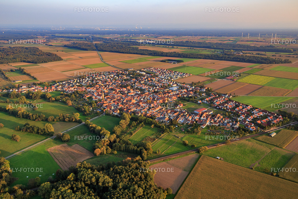 Dorfansicht von Nordwesten | Luftbild: Dorfansicht von Nordwesten in Steinweiler im Bundesland Rheinland-Pfalz in Deutschland. Foto: IMG_073981.jpg vom 03.10.2014 durch Werner Riehm/FLY-FOTO.de - Realisiert mit Pictrs.com