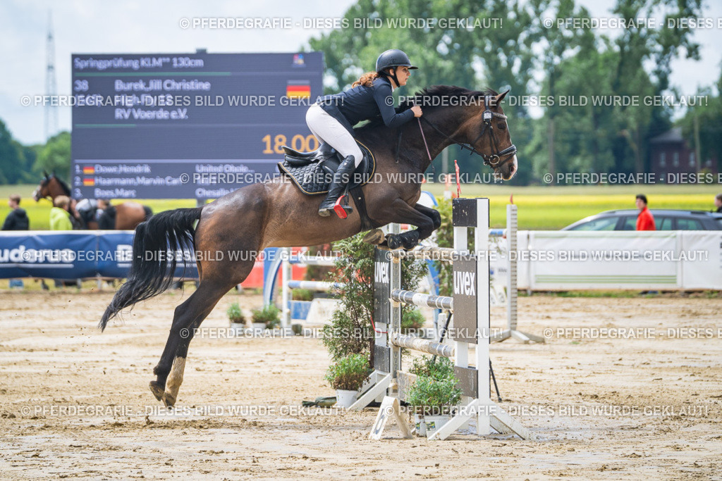 DSC04510 | Pferdegrafie