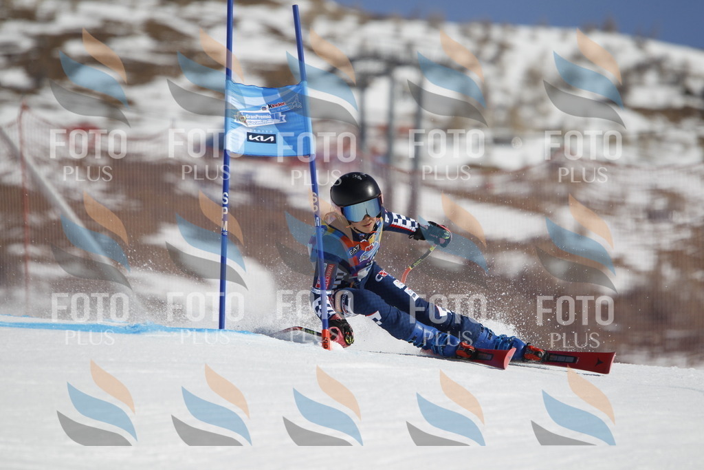 _U3G9047 | holidayphoto