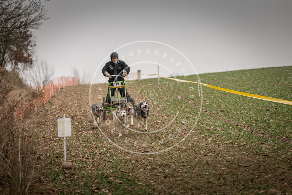 Pfotenfotografie_DV3A4444 | Hundefotografie, Tierfotograf, Pfotenfotografie, Fotoshooting Hund, Hunde Portrait, Hundesport, Hundeportraits, Heideshooting, Hunde, Sportfotograf, Hundefotograf, Turnierhundsport, THS,  - Realisiert mit Pictrs.com