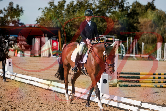 2026_10_03_Siefer-Hof_131543_Z63_77640020 | Professionelle Reitsport-, Turnier- und Eventfotografie von Robert Broda. Galerien mit ausgewählten und bearbeiteten Bildern direkt online ansehen und bestellen.