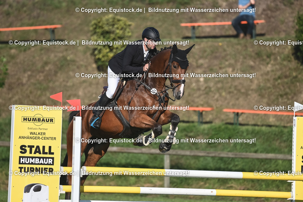 20230908_14-15_Springpferde-A_0031 | equistock