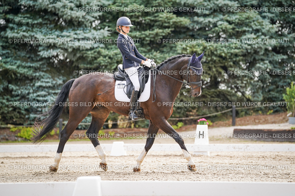 DSC01451 | Pferdegrafie