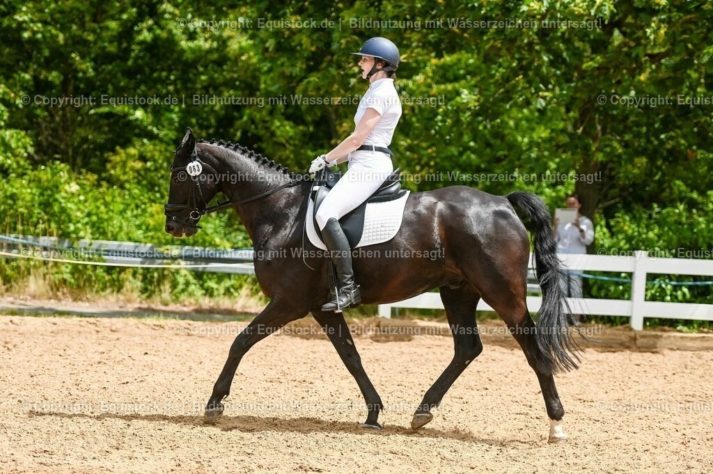 20230715_05_Dressurprüfung Kl.A++_0247 | equistock