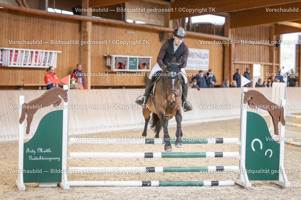 _D5A7224 | Emotionale Pferde- & People-Fotografie rund um Heidelberg, Leimen & Umgebung. Natürliche Fotos von Pferd, Mensch & Familie. Jetzt Termin sichern!