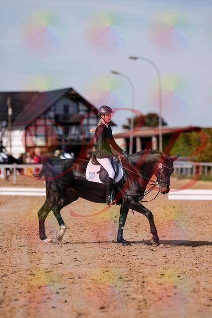 2026_10_03_Siefer-Hof_115747_Z81_98582000 | Professionelle Reitsport-, Turnier- und Eventfotografie von Robert Broda. Galerien mit ausgewählten und bearbeiteten Bildern direkt online ansehen und bestellen.