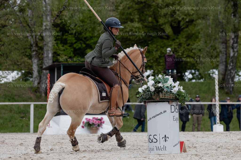 PI26_SP_StoibphotographyC2_C0218.jpg | working equitationturnier fotograf videograf stoibphotography marixx film working equitation deutschland reitsport turnierfotografie eventfotografie equestrian events