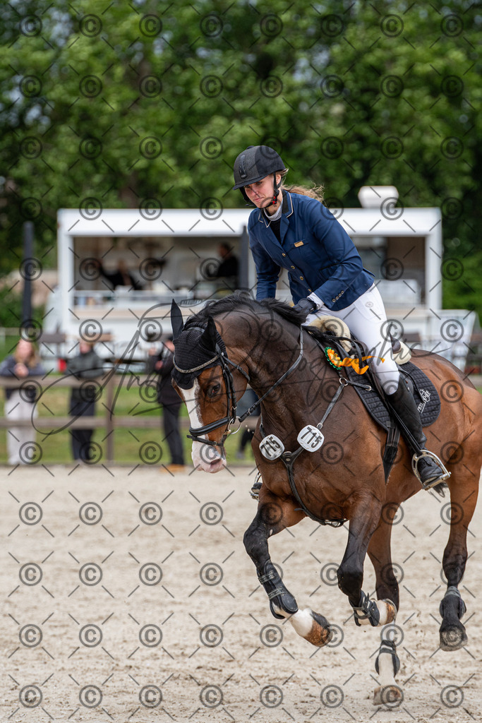 KPT_0323 | andre_photographic