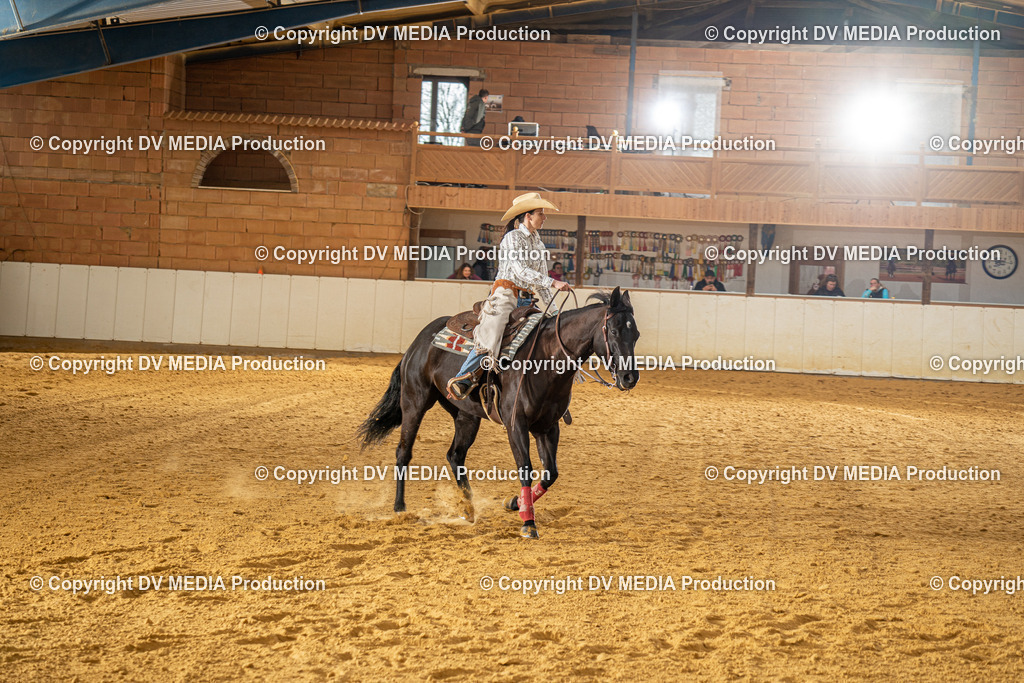 MIT00695 | dv-media-shop - Realisiert mit Pictrs.com