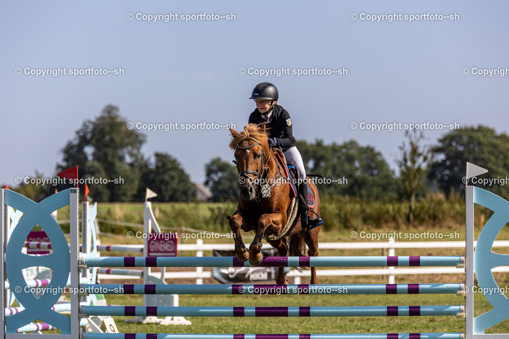 240831-VW-IS6A4458 | Sportfoto SH - Realisiert mit Pictrs.com