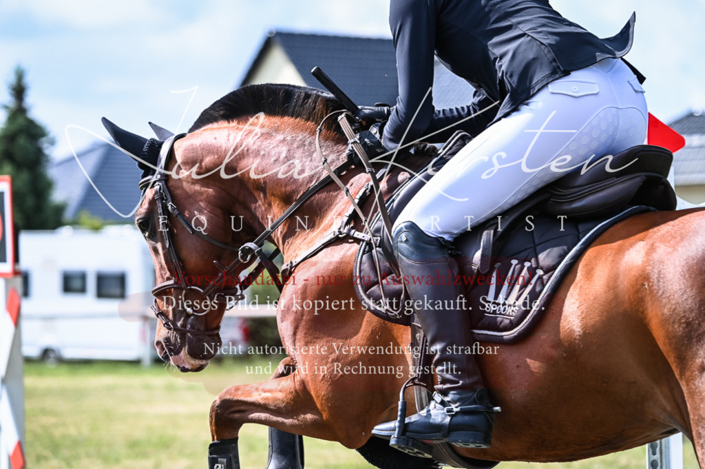 DSC_7913 | Pferde- und Turnierfotografie in Westsachsen. Pferdeportraits, Auftragszeichnungen und intuitive Kunst.