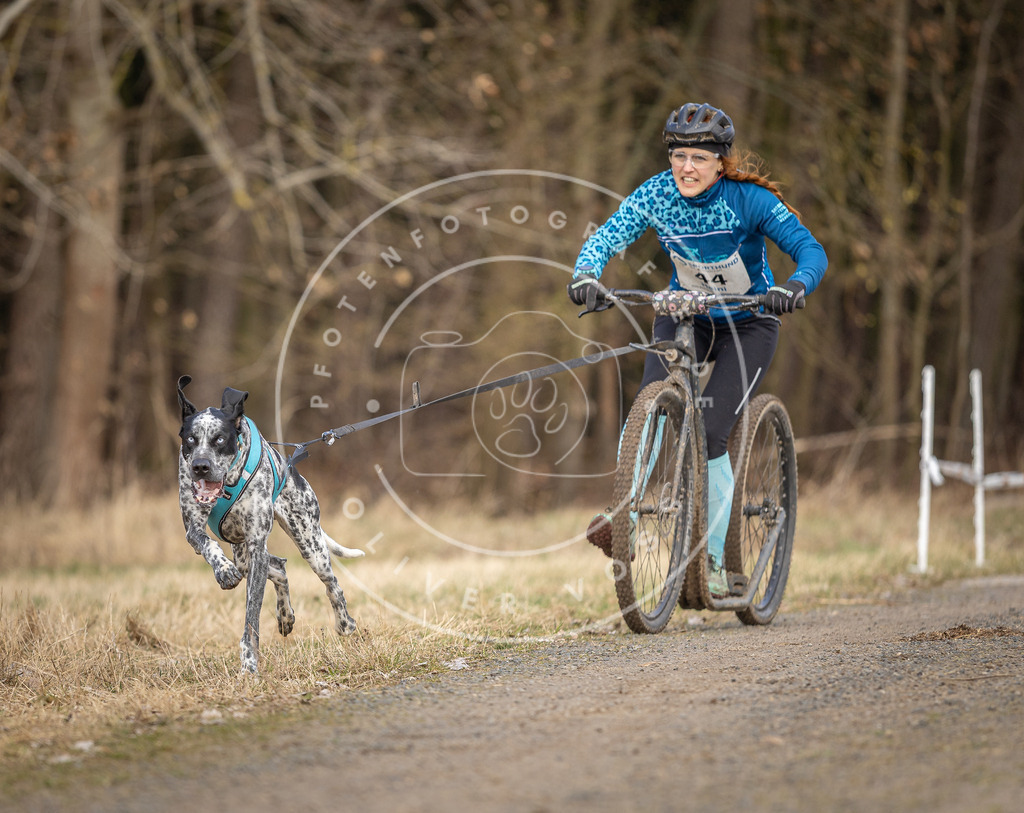 DV3A4648 | Hundefotografie, Tierfotograf, Pfotenfotografie, Fotoshooting Hund, Hunde Portrait, Hundesport, Hundeportraits, Heideshooting, Hunde, Sportfotograf, Hundefotograf, Turnierhundsport, THS,  - Realisiert mit Pictrs.com