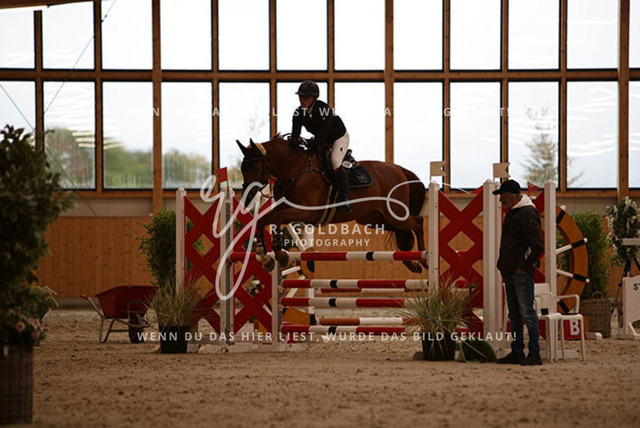 1J2A3516Annelen Heinrich_ Come on Cero_ Kn154_ Hohen Wieschendorf_ Glantz | Foto- und Videografie für alles rund ums Pferd. Hochwertige Bilder und Videos vom Spring- und Dressurreiten, Voltigieren & mehr. Jetzt aktuelle Veranstaltungen und Preise im Shop ansehen. - Realisiert mit Pictrs.com