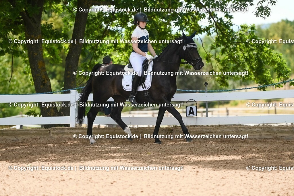 20230715_09_Dressur-WB_0214 | equistock