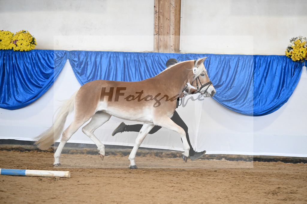 Bl. Band Kat-Nr. 5 Lady Cool v. Wetterstein_Gossner_48251303 | hf-fotografie - Realisiert mit Pictrs.com