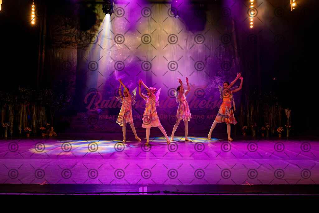 Ballettaufführung-167 | Bildershop Lem'n Entertainment - Realisiert mit Pictrs.com