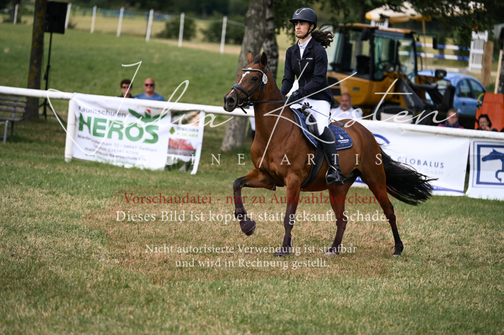 DSC_0657 | Pferde- und Turnierfotografie in Westsachsen. Pferdeportraits, Auftragszeichnungen und intuitive Kunst.