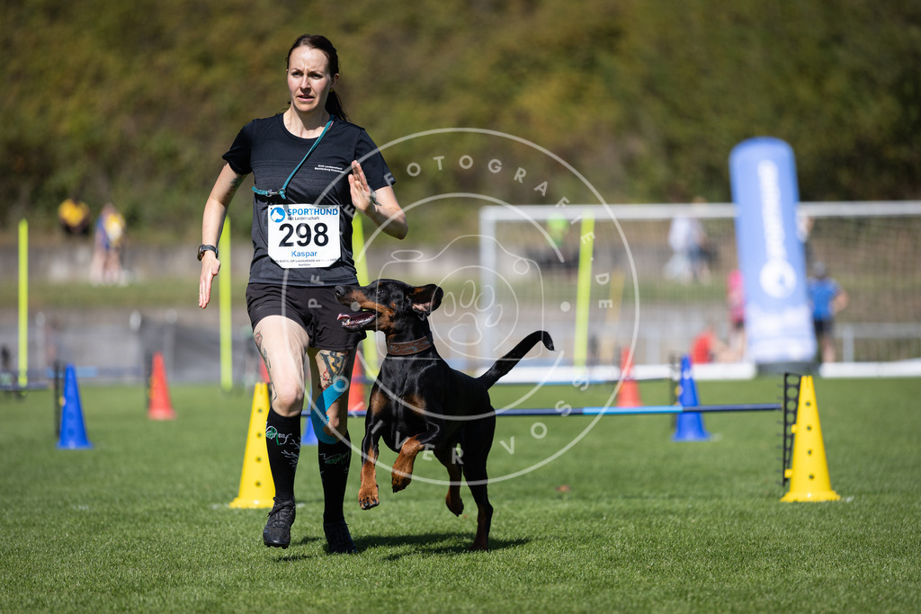 Pfotenfotografie_DV3A7702 | Hundefotografie, Tierfotograf, Pfotenfotografie, Fotoshooting Hund, Hunde Portrait, Hundesport, Hundeportraits, Heideshooting, Hunde, Sportfotograf, Hundefotograf, Turnierhundsport, THS,  - Realisiert mit Pictrs.com