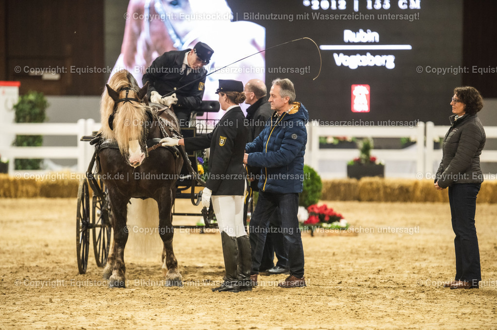 20240302_Hengstvorstellung_Marbach_TOMsPiC_0636 | equistock
