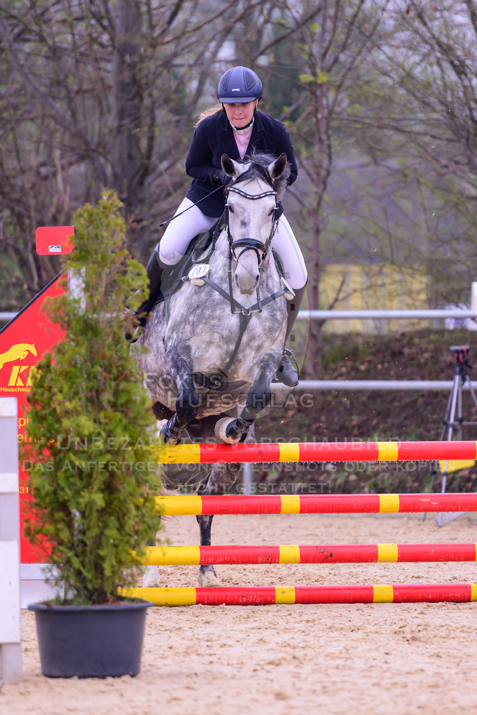 12042026-Mammendorf-Prfg37-0753 | Fokus Hufschlag Fotografie - Realisiert mit Pictrs.com