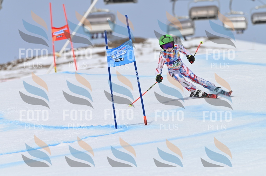 BGV_4746 | holidayphoto