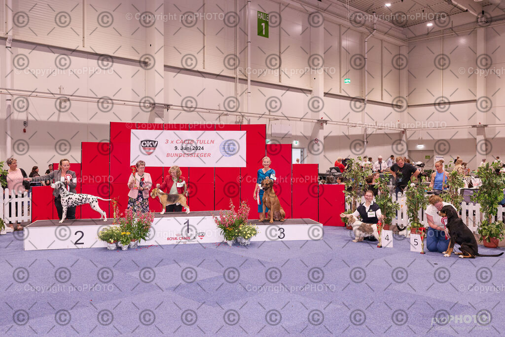 202406_ÖKV-IHA-Tulln24_NZ9_9543 | proPHOTO - Realisiert mit Pictrs.com