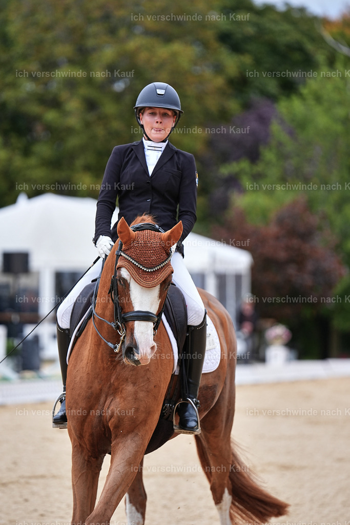04_1-180-Dressur M__ -Marixx-2776 | working equitationturnier fotograf videograf stoibphotography marixx film working equitation deutschland reitsport turnierfotografie eventfotografie equestrian events