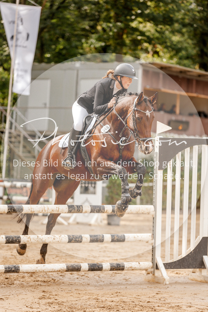 3I6A6676 | Stimmungsvolle Portraits und Reitsportfotografie im Ruhrgebiet und im Münsterland.

Pferdefotografie, Hundefotografie, Tierfotografie, Reportagen, Portraits von Tier und Mensch, Turnierfotografie in Bochum, Recklinghausen, Marl, Haltern am See, Dülmen.. - Realisiert mit Pictrs.com