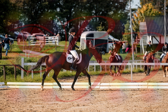 2026_10_03_Siefer-Hof_125317_Z63_61238323 | Professionelle Reitsport-, Turnier- und Eventfotografie von Robert Broda. Galerien mit ausgewählten und bearbeiteten Bildern direkt online ansehen und bestellen.