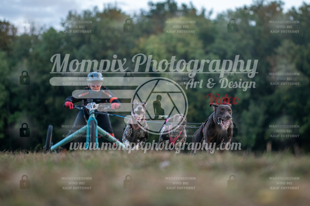 CDLBDB_15_10_2023_Dimanche-21 | PayLife