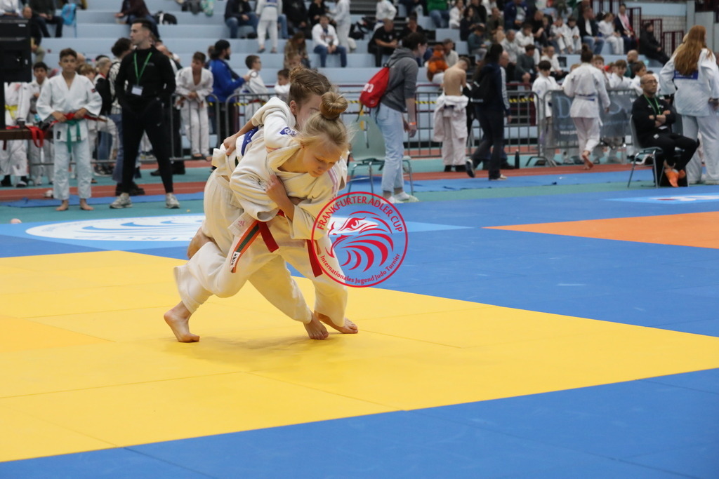 1J7A2713 | Fotos vom Adler Cup - Pictures from Adler Cup

Hier findet Ihr alle Eindrücke und großen Momente der Adler Cup Wochenenden. Here you will find all impressions and great moments of the Adler Cup weekends. - Realisiert mit Pictrs.com