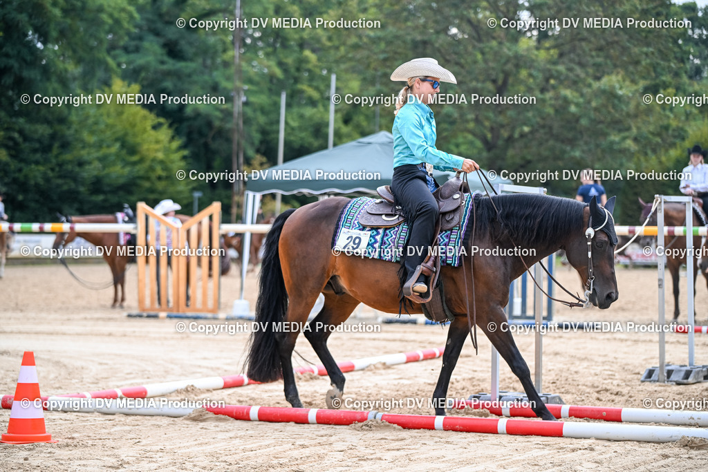 ZS1_3370 | dv-media-shop - Realisiert mit Pictrs.com