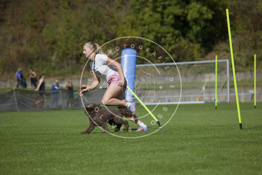 0L8A5864 | Hundefotografie, Tierfotograf, Pfotenfotografie, Fotoshooting Hund, Hunde Portrait, Hundesport, Hundeportraits, Heideshooting, Hunde, Sportfotograf, Hundefotograf, Turnierhundsport, THS,  - Realisiert mit Pictrs.com