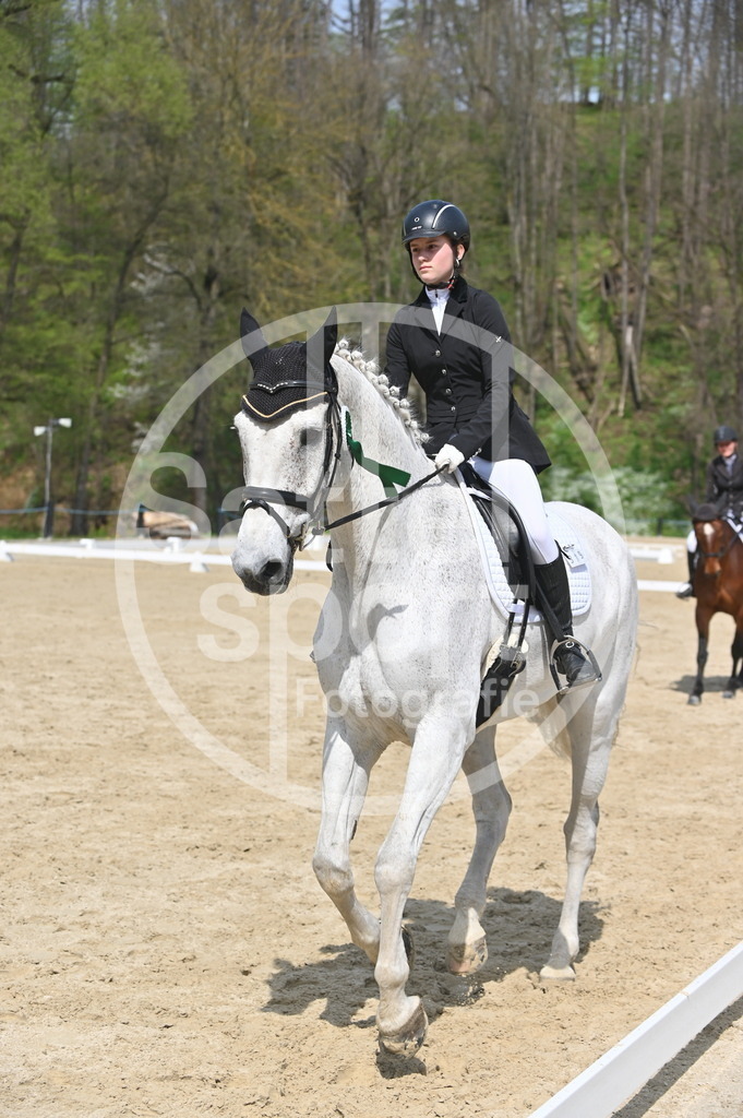 DSC_1550 | sattelsport - Realisiert mit Pictrs.com